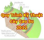 Quy trình kỹ thuật